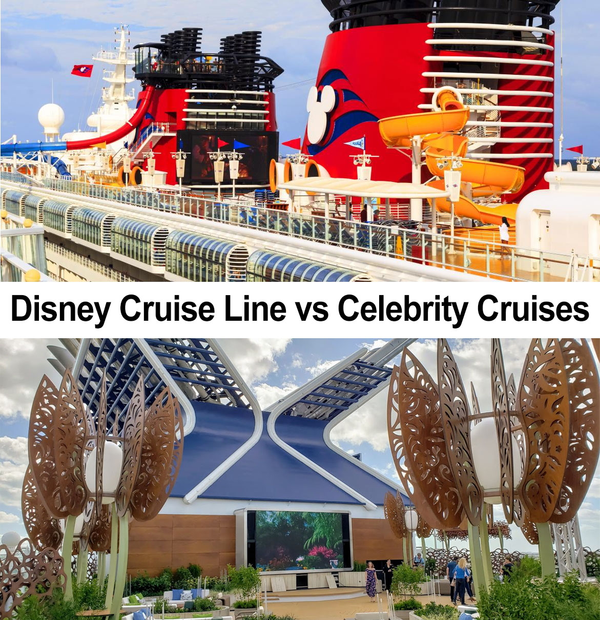 cruise lines compared
